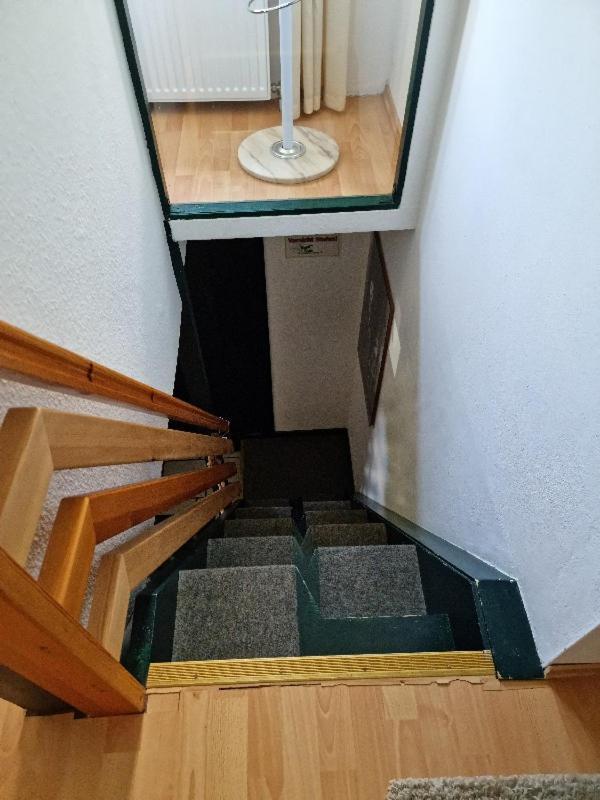 Kleiner Hookie In Hooksiel Mit Hund Villa Schillig Buitenkant foto